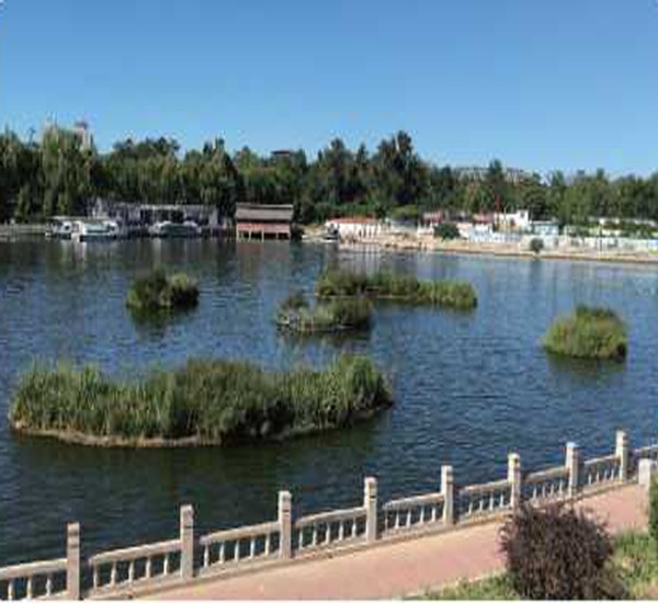 浮田型浮动湿地 一站式服务