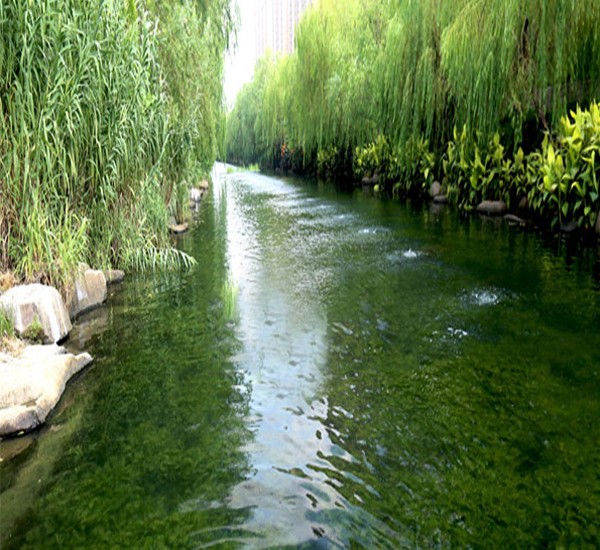 黑臭河道治理 效果显著
