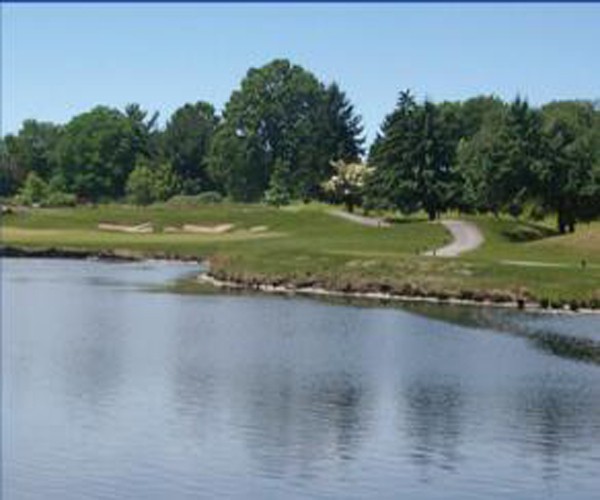 食藻虫水生态修复 生态