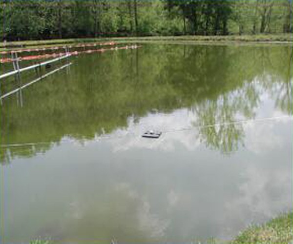 食藻虫水生态修复 长效