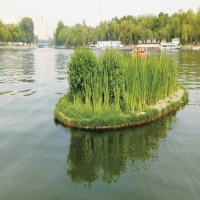 浮田型浮动湿地 技术专业