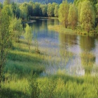 浮田型浮动湿地   核心技术商