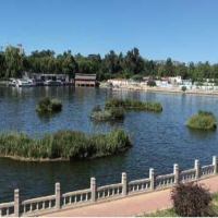 浮田型浮动湿地   一站式服务