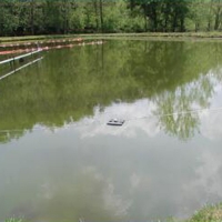 食藻虫水生态修复      长效