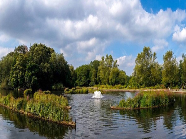 浮田型浮动湿地技术