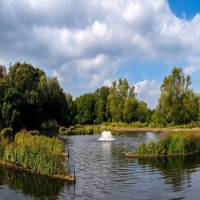 浮田型浮动湿地技术