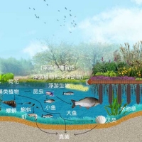 浮田型浮动湿地技术