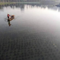 清水型生态系统构建技术