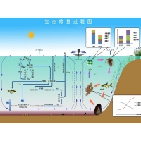 太阳能曝气机净水 厂家直销