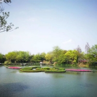 杭州西溪湿地水上景观花岛