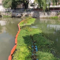 三个月治理前后对比