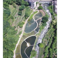 人工湿地建设（沉水植物+水生态原位修复矩阵）