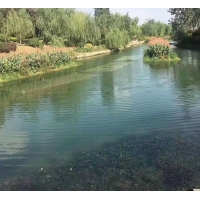 黑臭河道治理 洁净水源
