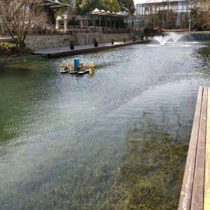 清水型生态系统构建技术