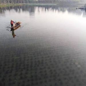 郑东新区龙子湖水下森林