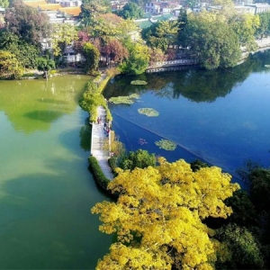 湖泊未治理区与治理区域对比