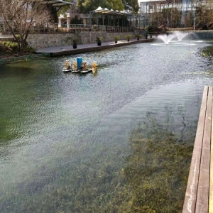 无锡河道生态治理